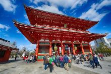 东海县卓伟木业有限公司 招标 询问是否有招标计划