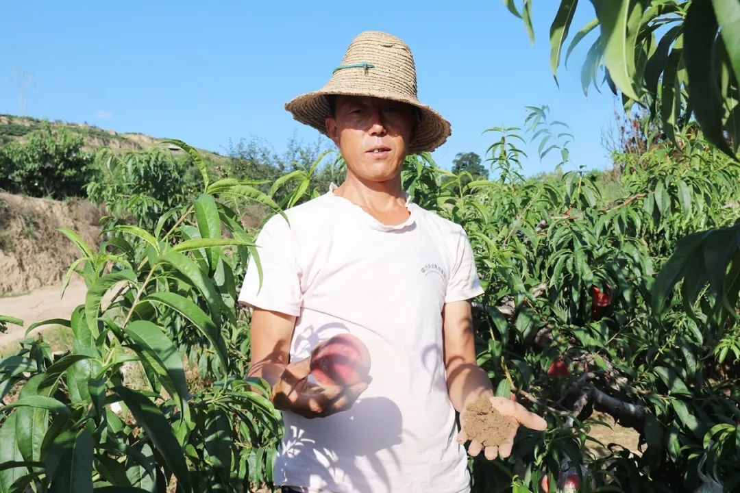 含羞草大陆永久地址