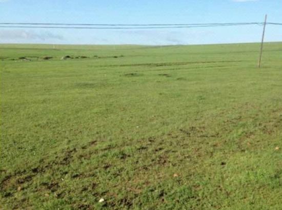 中文捷克街头 捷克街避免大声喧哗