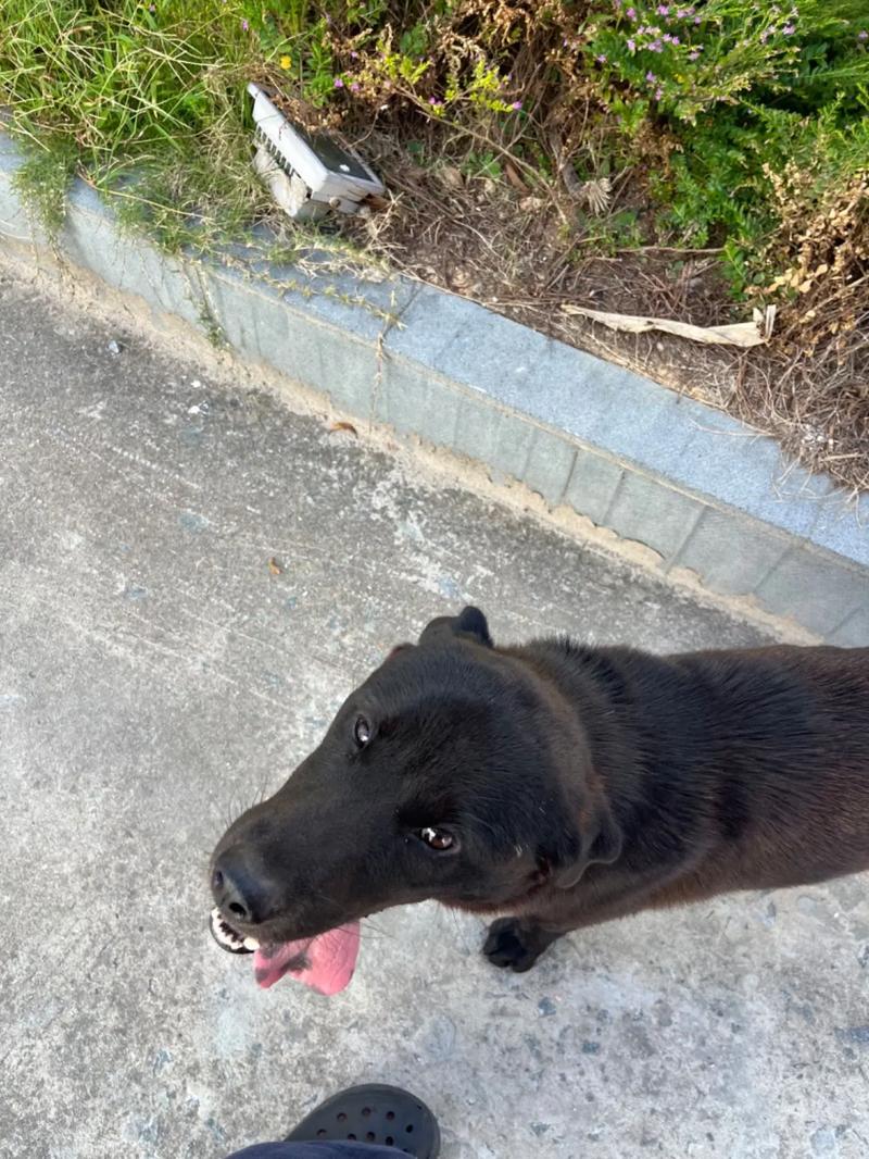 午夜老司机在线