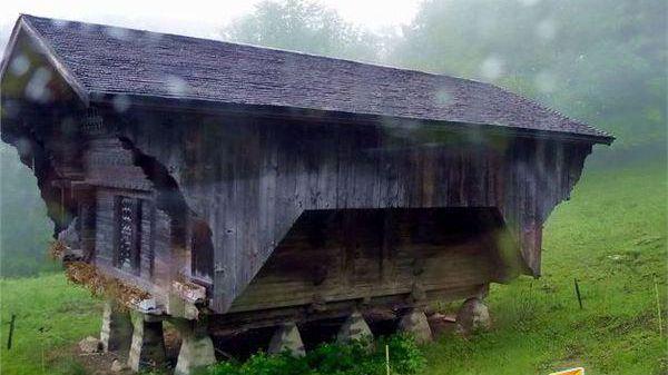 黑料吃瓜网91不打烊