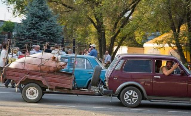 男男视 它指在视觉艺术和主流电影中