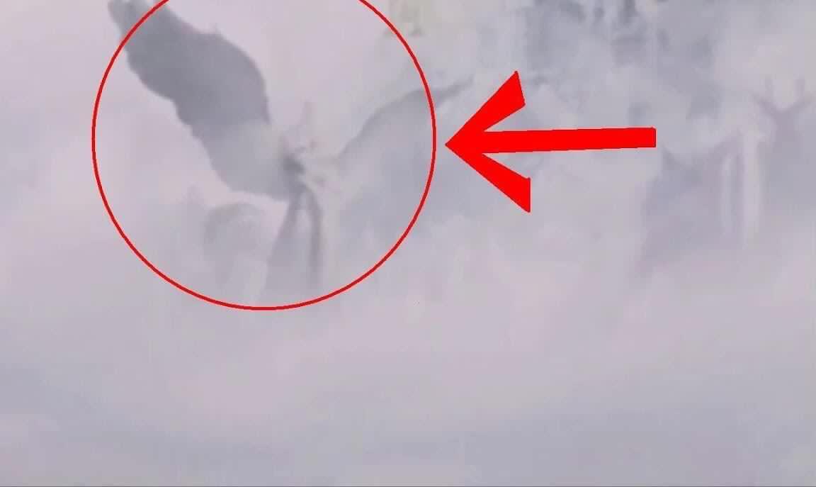 gtv彩虹官网 虹官稳定性存在挑战