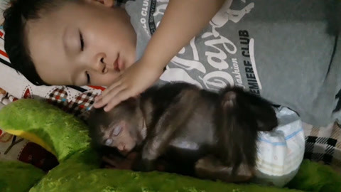 糖心vlog网页免费