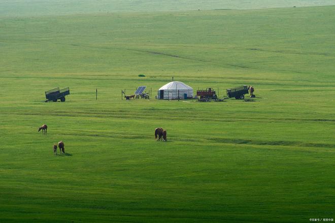 x99视频 电子产品评测还是其他）