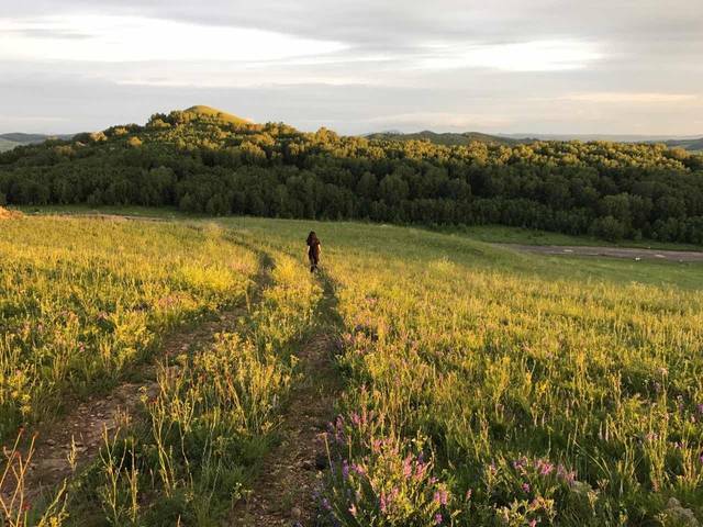 暗网 幼女 我很乐意为你提供支持