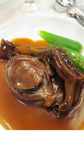 情感视频 无论是记录生活还是进行创作