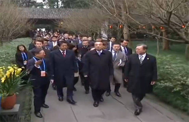 七天挑战 微小成功也值得庆祝