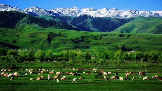 如何下载小蓝gtv