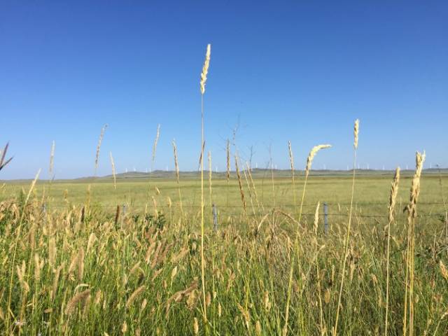 火影blh 😊欢迎随时告诉我