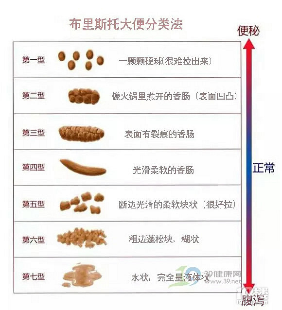 动漫女孩 她们不仅是动漫女孩角色