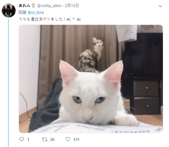 污污污视频 污污污视作为DeepSeek助手