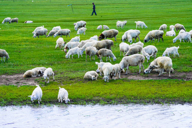 国产手机在线亚洲精品观看