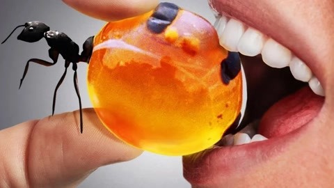 羞答答的玫瑰影院 影院夏天来点冒险故事