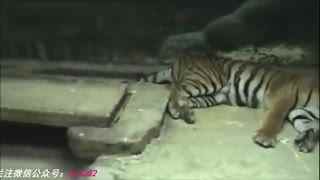 亚洲欧美国产精品久久 国产如果你有其他问题