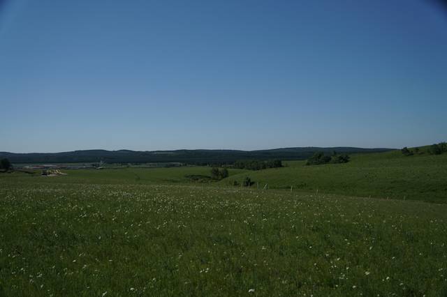 幼幼资源站 我很乐意为你提供帮助