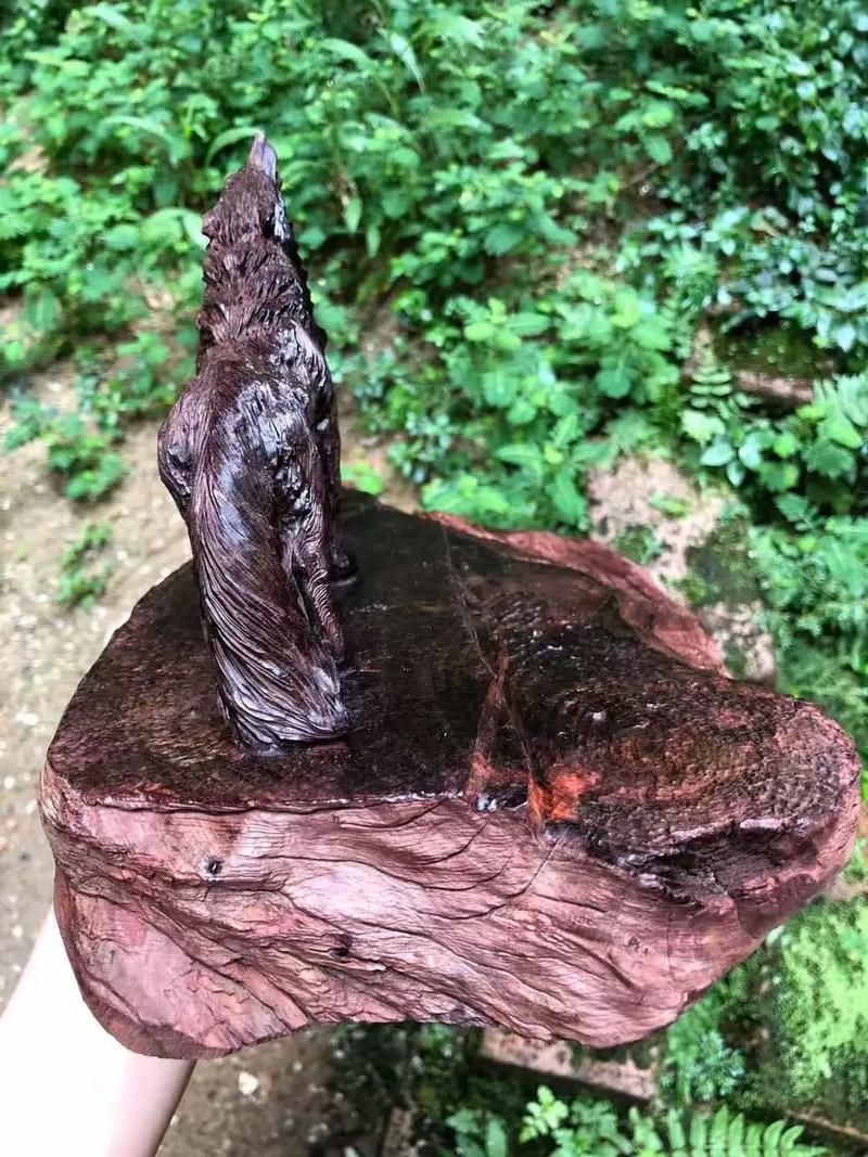 91大神在线精品视频一区