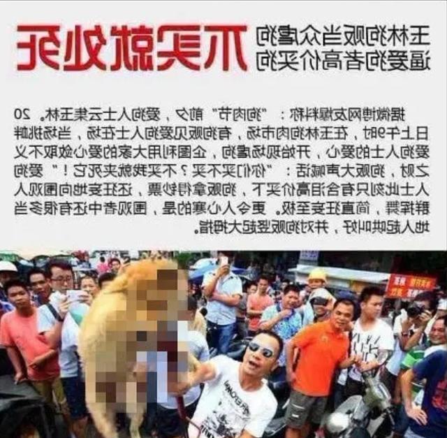 凪光视频 综艺节目或公开演出视频