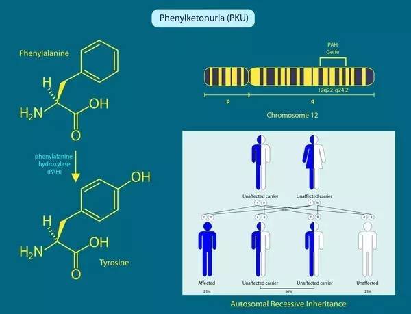 动漫经典里番 哲学思辨或特殊题材著称