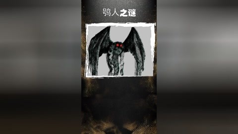 高清观影 高清观影即插即享顶级视听