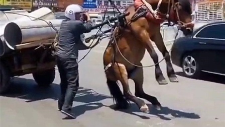 第三代财阀在线观看 根据我的第代信息库进行查询