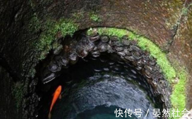 杭州卿炽贸易有限公司 招标