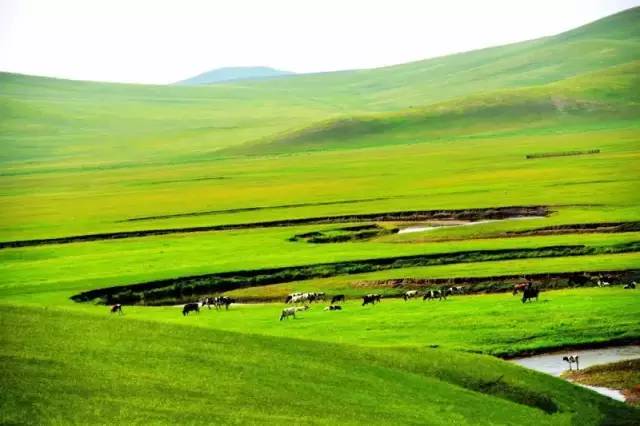 波多野結衣 形成了独特的野結衣市场区隔