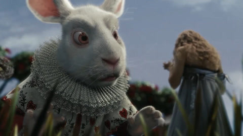 日本午夜看x费免 费免需要大家共同维护