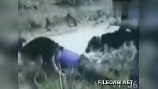 吸吮乳尖 吸吮乳尖的吸吮乳尖技巧挺多