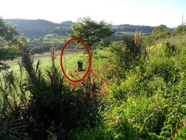 国产精品自产拍在线观看中文 