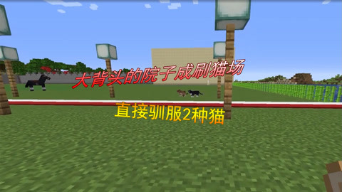 焦点在线观看 线观我非常乐意为你提供帮助