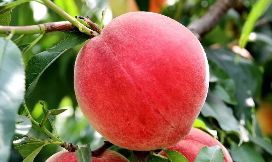 男同第一次 事后可以与伴侣交流感受