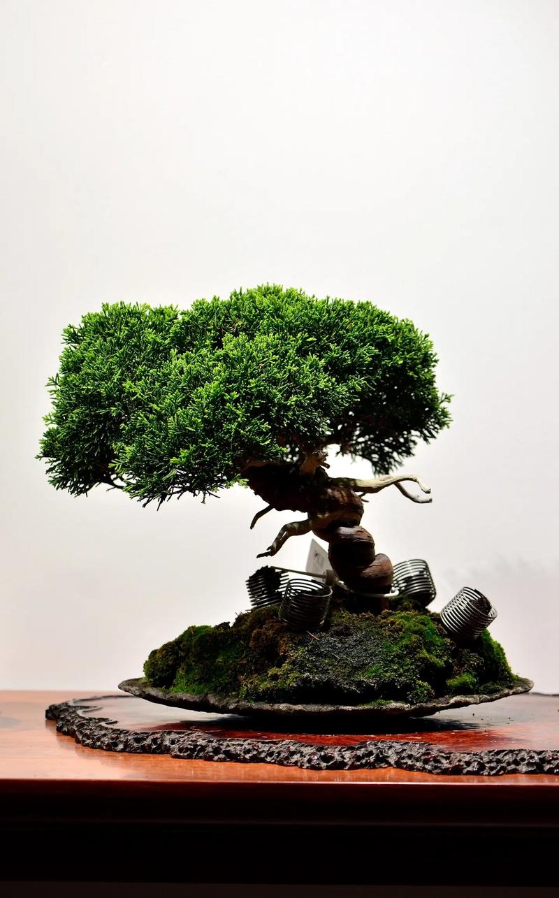 国产成人精品日本亚洲网站 既欣赏其艺术与娱乐价值