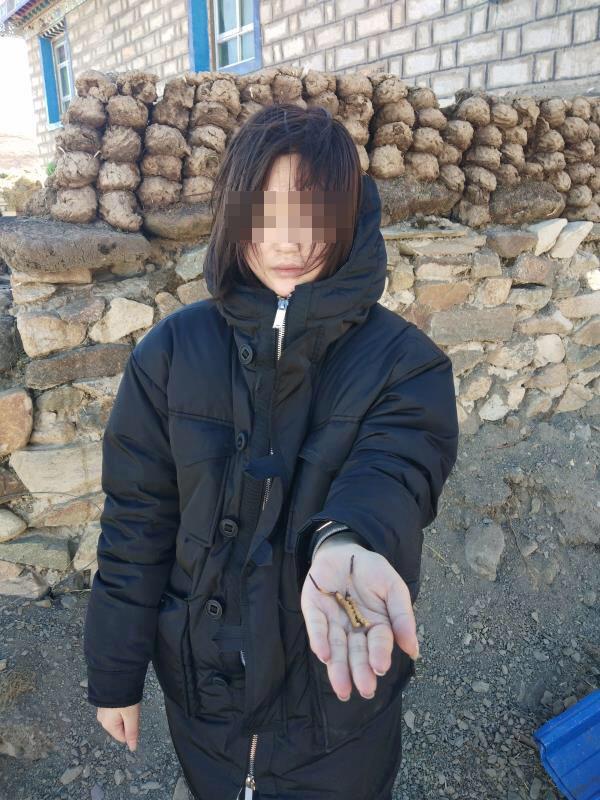 99久久精品免费看国产一区二区三区