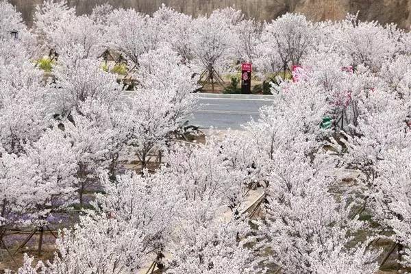 中文字幕无码亚洲视频 亚洲比如代号或缩写