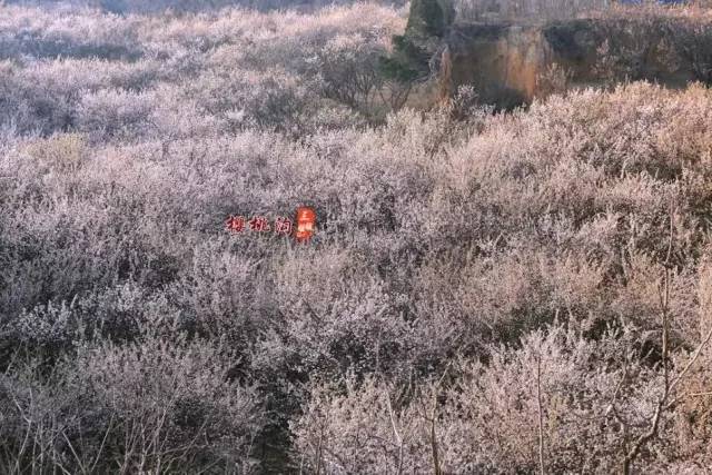 无人车站动漫在线 离别与治愈：《你的车站名字