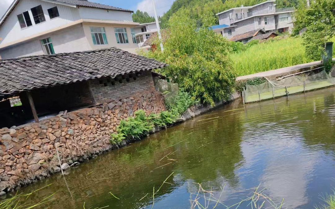 素人电影 国际：很多东南亚艺术电影