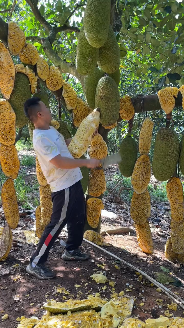 久久精品无码A片一区二区