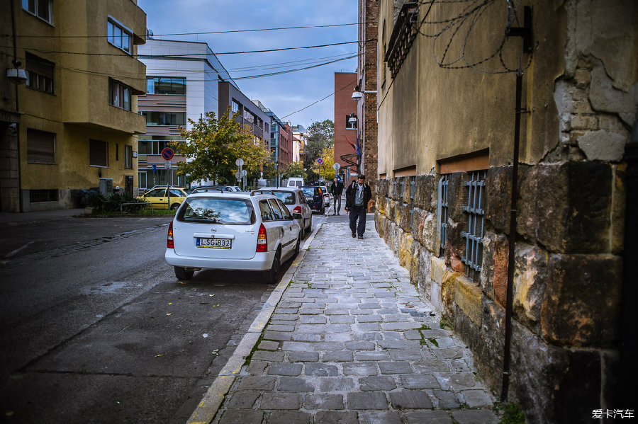 2017能在线观看的网站