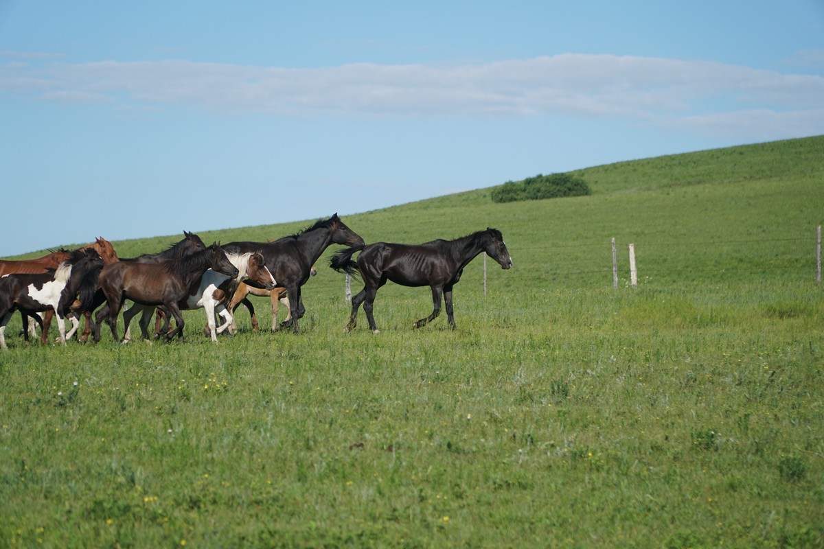 好兄弟资源网www 好兄资源页面会注明