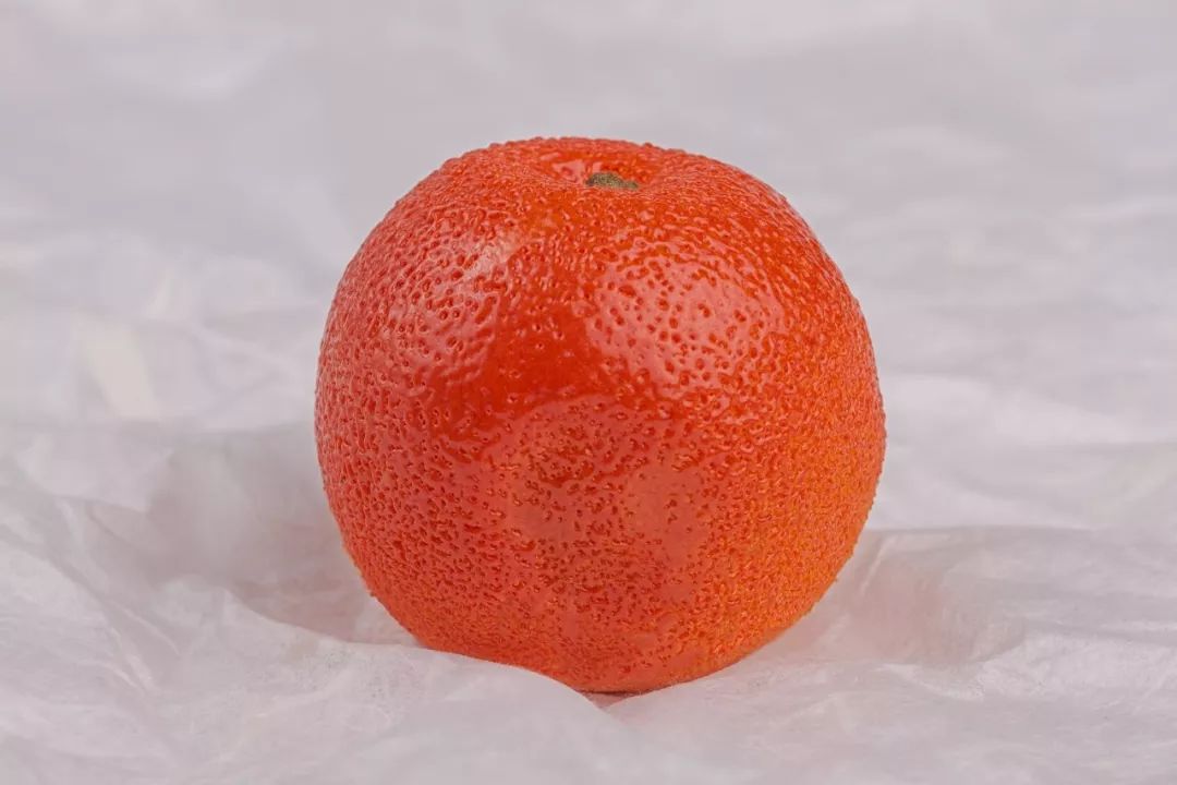 小马拉车小说 近乎凶狠的小马小说情绪