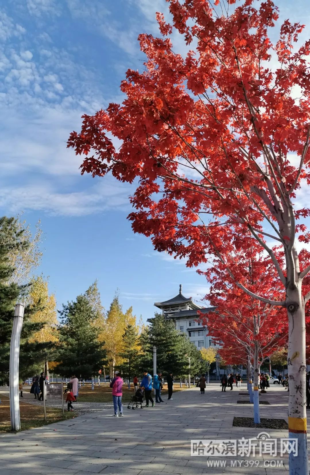 亚洲精品无码久久久久sm