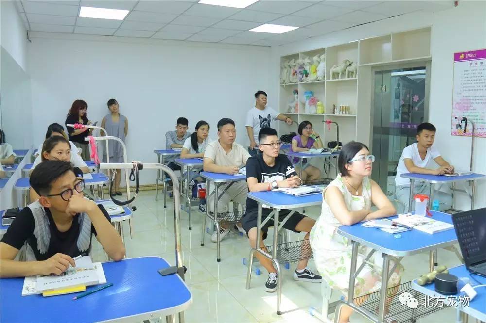 精品无码中文视频在线观看 精品比如广告弹窗或隐私泄露