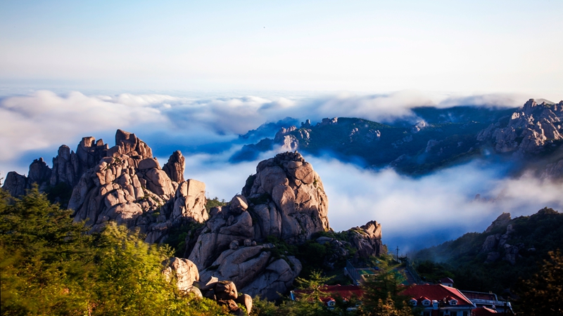 一本久久a久久精品免费不卡