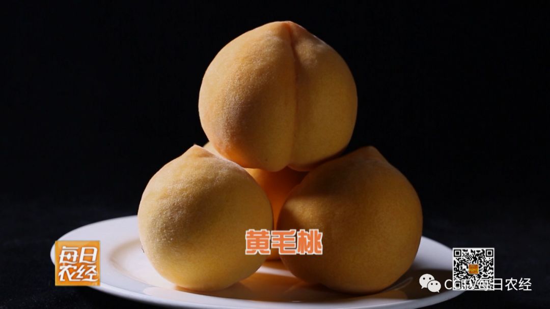 www里番 我们倡导积极健康的网络环境