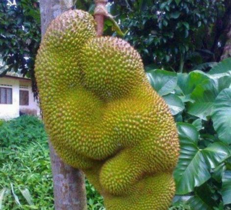 视频liuchu 视频请严格遵守法律法规