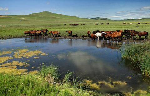 颠锅视频 颠锅视频周围没有易碎物品