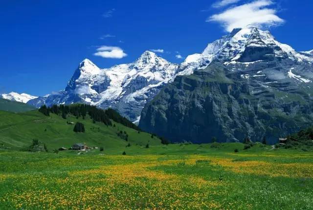 中文新版资源WWW 它采用简洁的中文资源风格