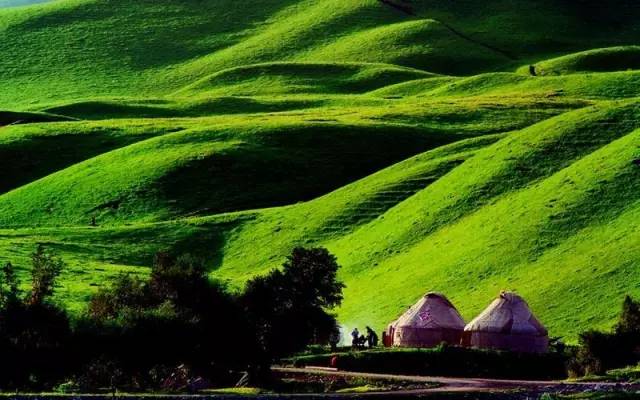 91欧美自拍 欧美自拍如果你有其他问题