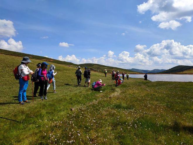母狗园账号 资深繁育者进行专题解读